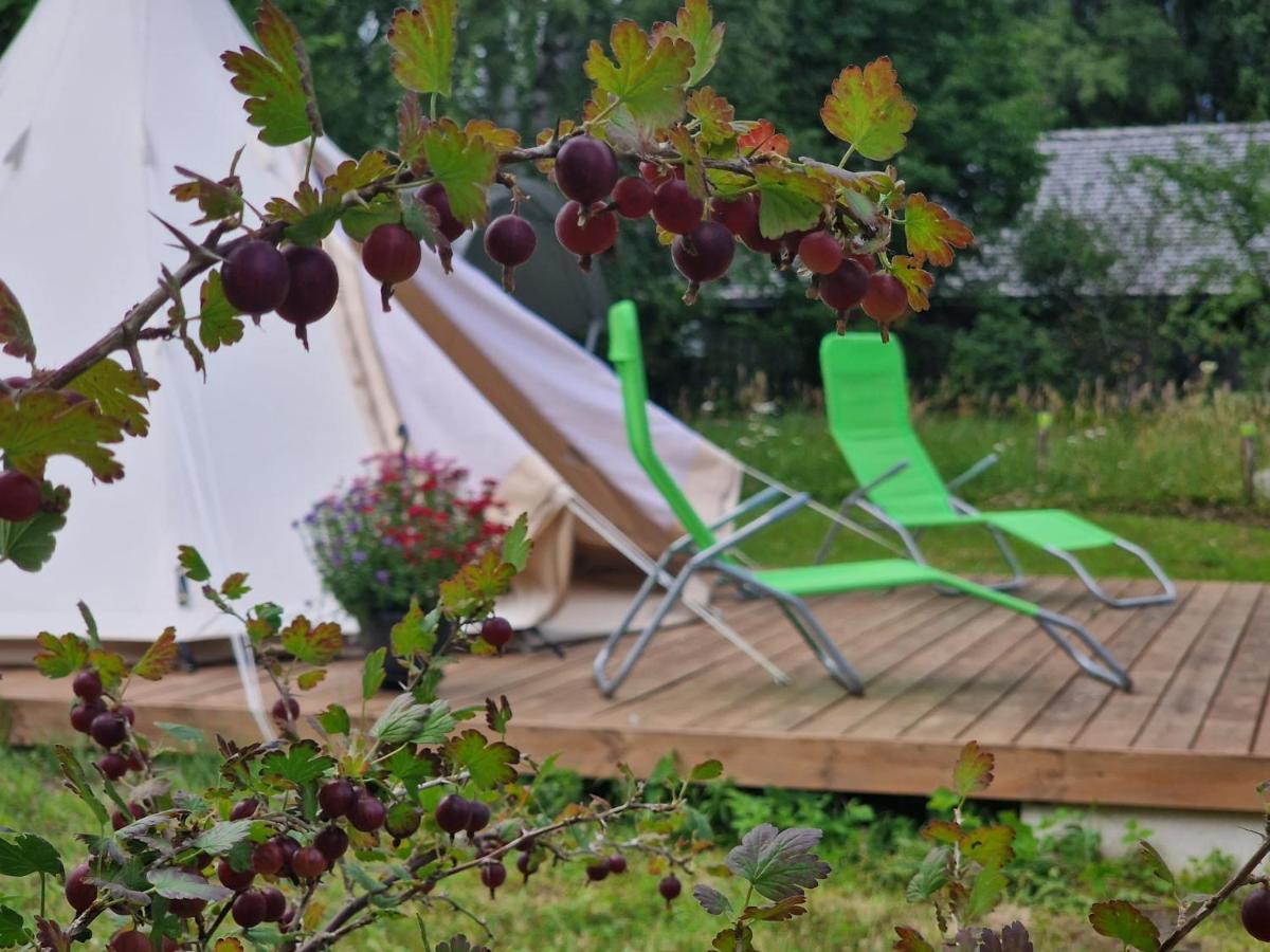 Glamping Fluffy Horns - Glempings Pukainie Ragi Hotel Plienciems Ngoại thất bức ảnh